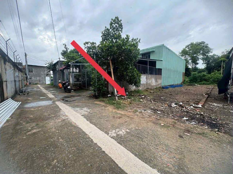 Đất nền Phú Đông Nhơn Trạch 130m² giá 1.55 tỷ - Đường xe hơi vào tận nơi!