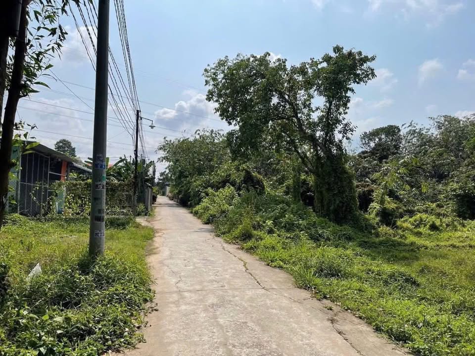 Đất thổ cư 150m² tại ấp 2 xã An Phước, giá 1 tỷ - Đường bê tông xe hơi vào tận nơi!