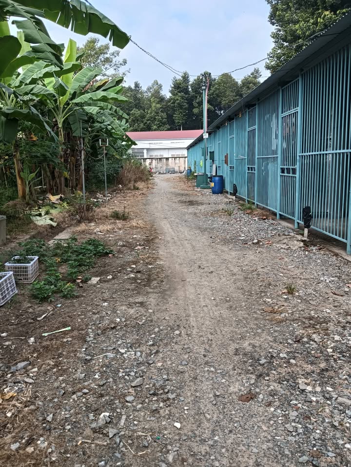 Đất nền Phước Thiền Nhơn Trạch 100m² giá chỉ 9xx triệu - Bán gấp, chính chủ!