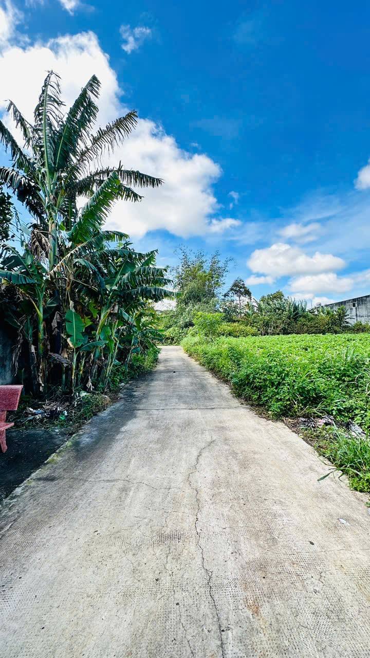 Nhà cấp 4 Hẻm 154 Âu Cơ, An Phú, 130.5m² giá 1.6 tỷ - Khu dân cư an ninh!