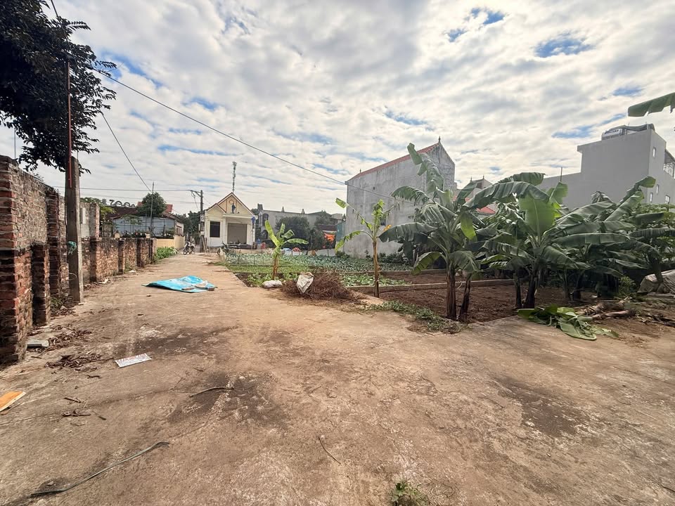 Đất lô góc 51,7m² tại xã Tự Nhiên, Thường Tín - Giá chỉ 2,55 tỷ VND!