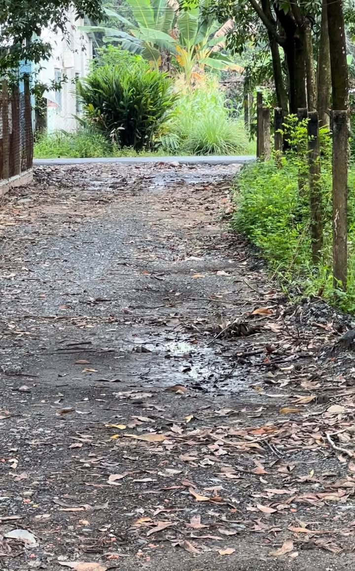 Đất ở Phường Bình Minh, Tây Ninh 119m² chỉ 300 triệu - Tiện ích đầy đủ, vị trí thuận lợi!