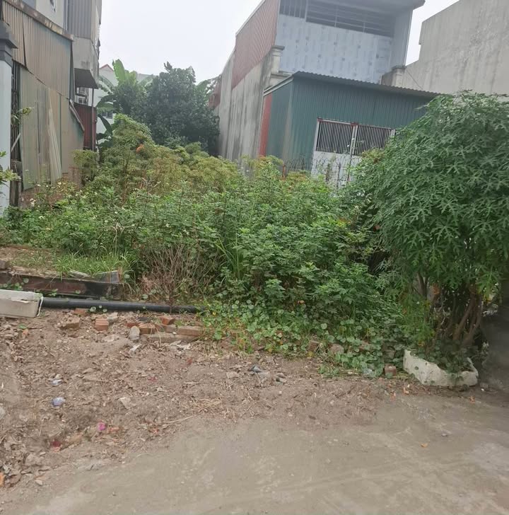 Đất thổ cư 188m² đường Lương Như Học, Hải Dương - Phù hợp làm kho/xưởng!