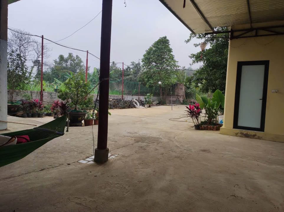 Đất nền Yên Bài, Ba Vì 1000m² giá thỏa thuận - Sổ đỏ chính chủ