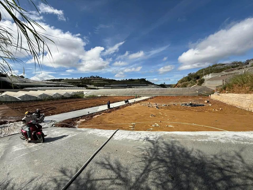 Đất nền phường Langbiang Đà Lạt 110m² giá 599 triệu - Đường ô tô vào tận nơi!