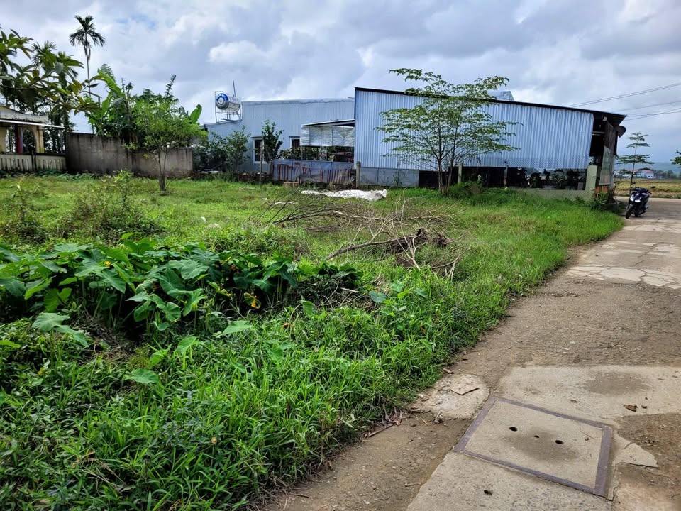 Đất nền thổ cư 600m² tại An Trạch, Hòa Tiến - Phong thủy tốt, giá thỏa thuận!