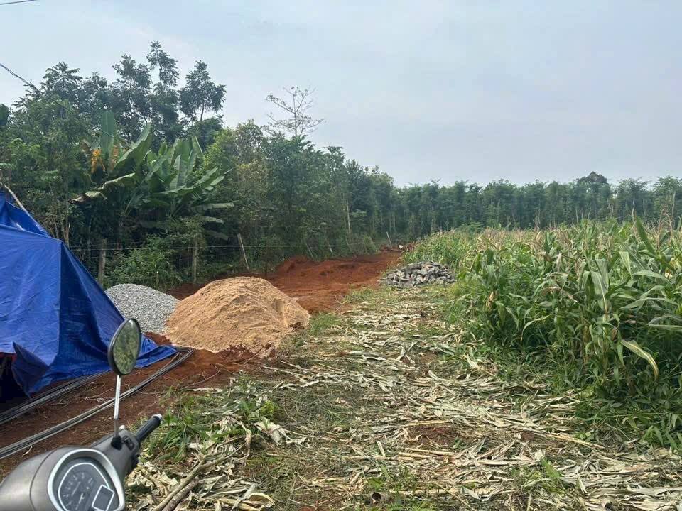 Đất thổ cư Bàu Chinh Châu Đức 460m² chỉ 1.15 tỷ - Cơ hội đầu tư hấp dẫn!