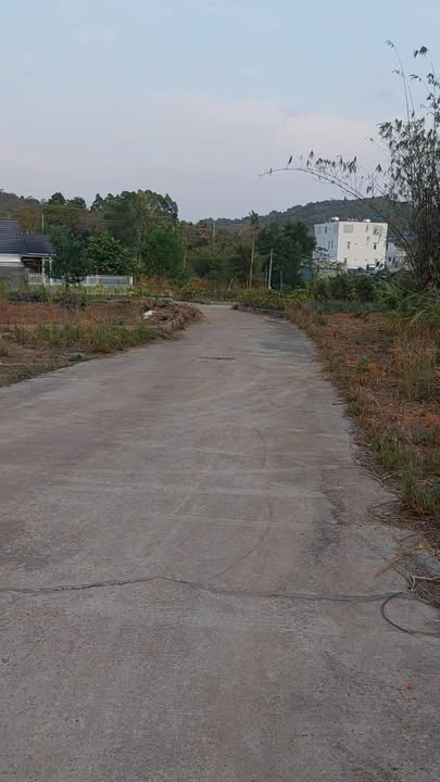 Đất chính chủ Phú Quốc 2000m² - Gần biển, khu yên tĩnh!