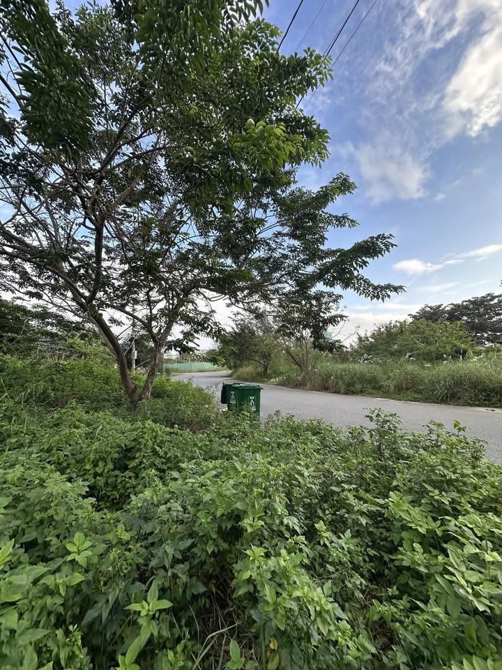 Đất nền góc Trần Hưng Đạo Đà Nẵng 550m² giá 82 tỷ - View sông Hàn tuyệt đẹp!