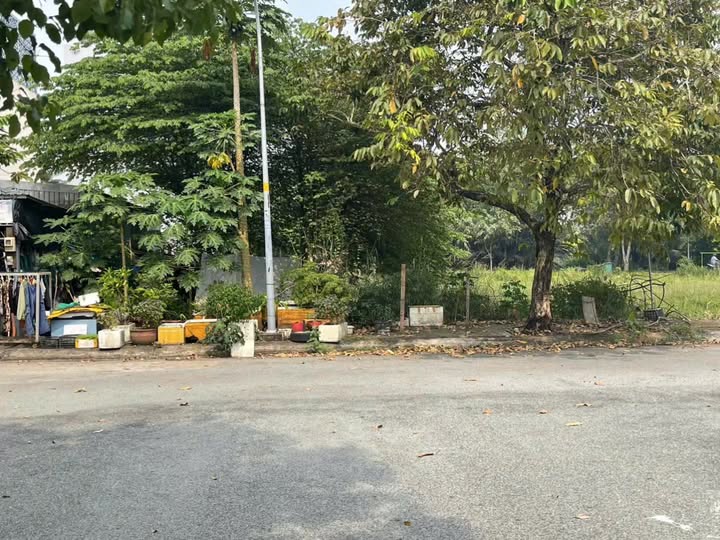 Đất nền KDC An Phú Tây 100m² giá 3.65 tỷ - Vị trí đẹp, gần đường số 3!