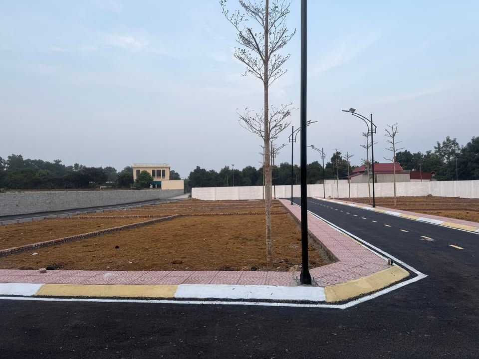 Đất nền Cổ Đông, Sơn Tây 100m² giá 3 tỷ - Lô góc đắc địa, kinh doanh tốt!