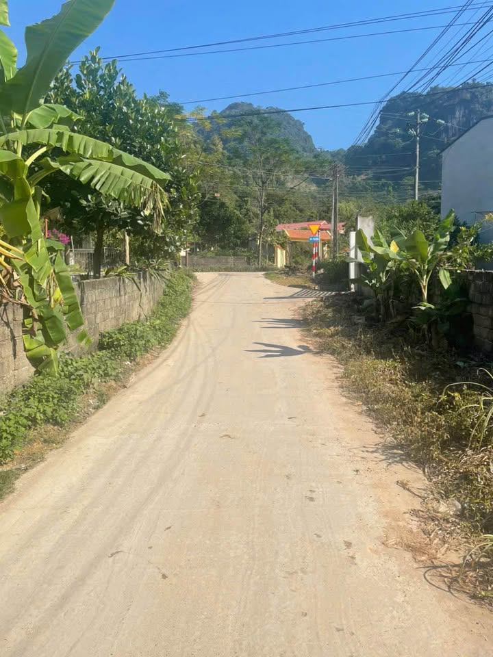 Lô đất 150m² tại Nông Tiến, Tuyên Quang giá 1.2 tỷ - Cơ hội đầu tư tuyệt vời!