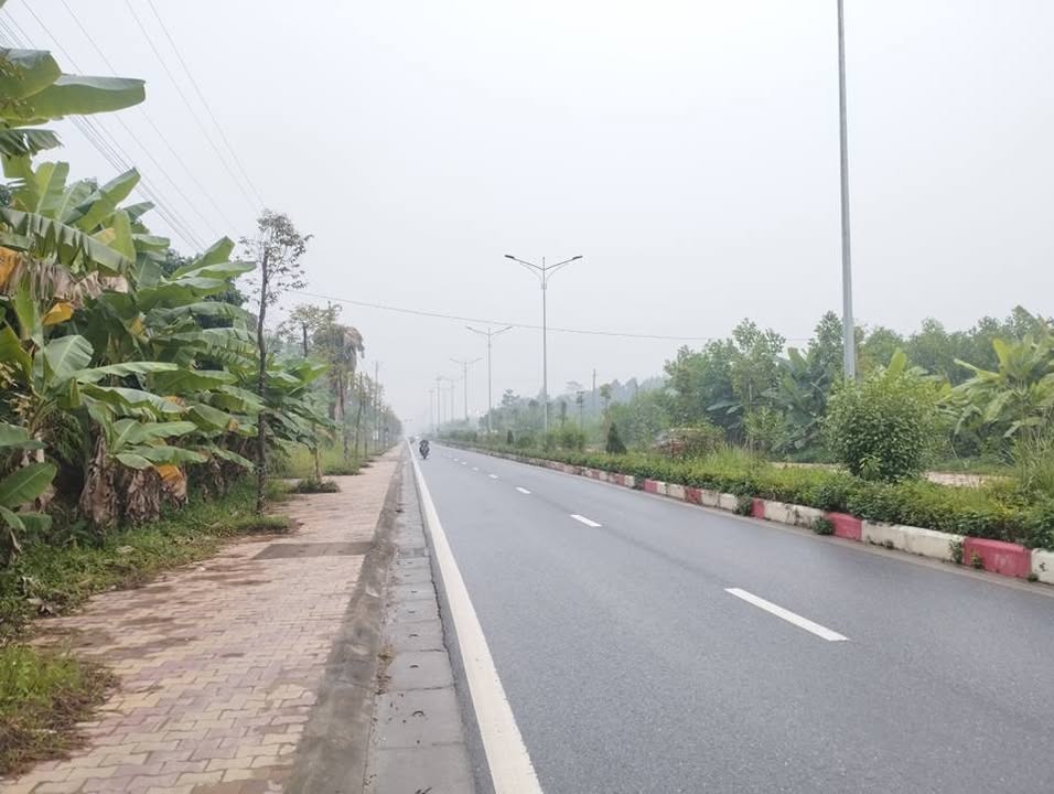 Đất mặt đường Quang Trung Yên Sơn 283.4m² giá chỉ 3 tỷ - Đầu tư sinh lời ngay!