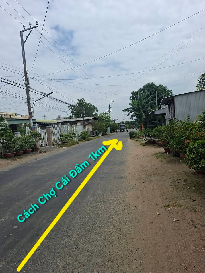 Đất nền thổ cư 262,7m² tại Xã Bình Thạnh Đông, An Giang - Giá chỉ 2,45 tỷ!