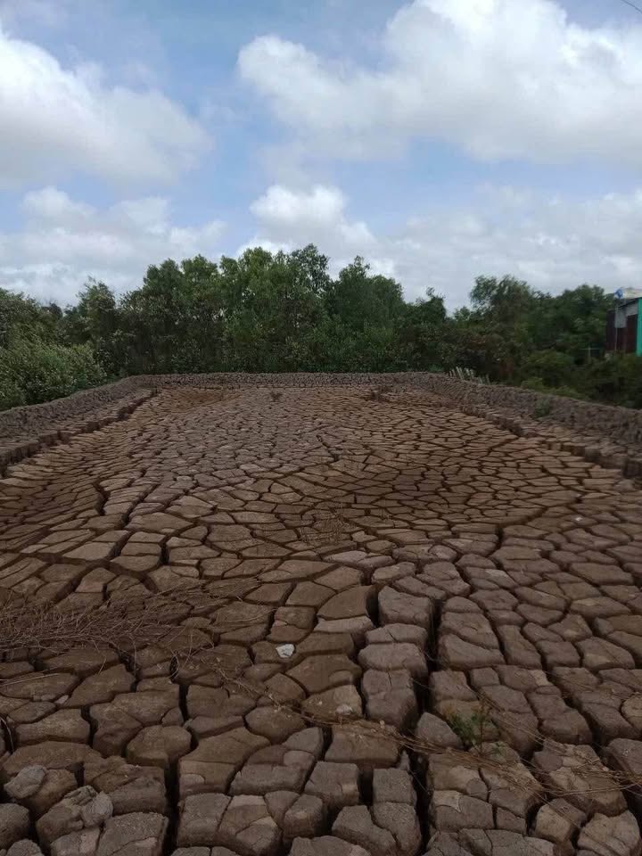 Đất nền chính chủ xã Đông Thới, Cái Nước 180m² giá 380 triệu - Đầu tư sinh lời ngay!