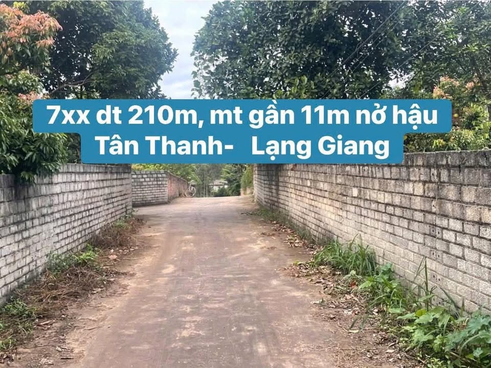 Đất nền Tân Thanh Lạng Giang 210m² giá 700 triệu - Đầu tư sinh lời ngay!