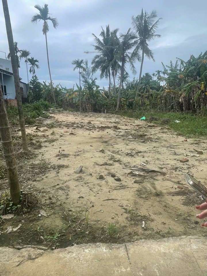 Đất nền 5x25,7m tại Cẩm Thanh, Hội An giá chỉ 2 tỷ - Đầu tư sinh lời ngay!