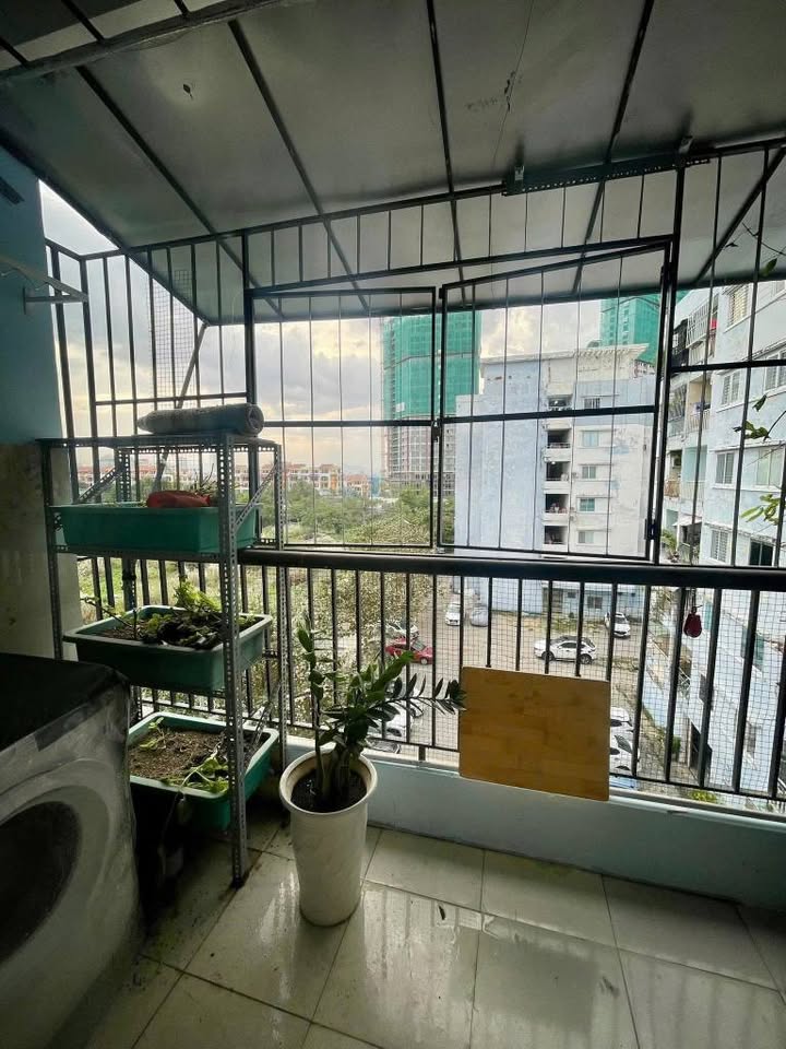 Chung cư Vicoland Đà Nẵng 60m² giá 2.58 tỷ - Mặt tiền đường Vân Đồn, thuận tiện sống và làm việc!