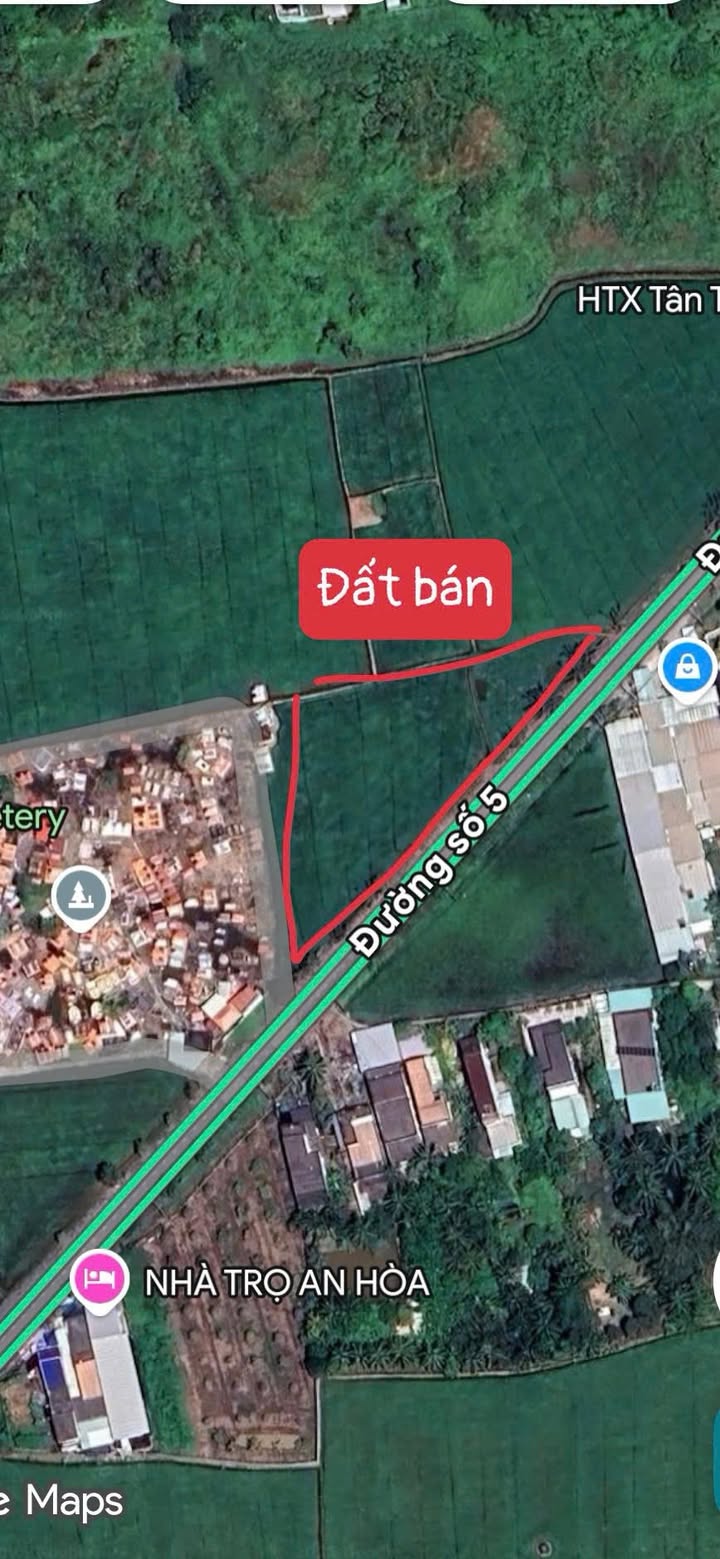 Đất lúa mặt tiền nhựa Số 5, Thị Trấn Thủ Thừa, Long An 2800m² - Cơ hội đầu tư tuyệt vời!