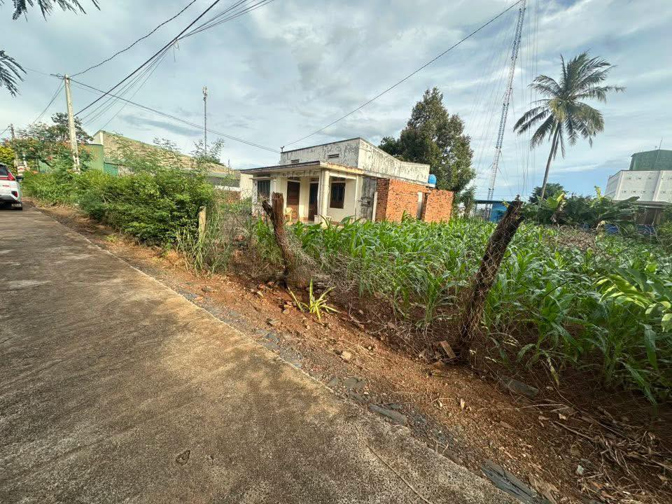 Đất thổ cư Hòa Phú, Buôn Ma Thuột 392m² - Giá mềm, đầu tư sinh lời!