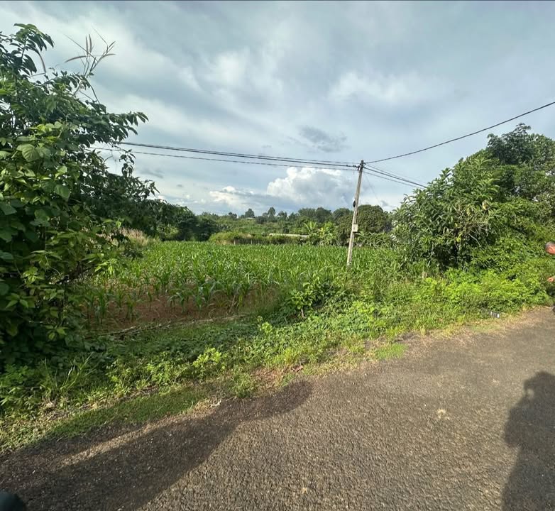 Đất mặt tiền Hòa Phú Buôn Ma Thuột 700m² giá 600 triệu - Đầu tư sinh lời ngay!