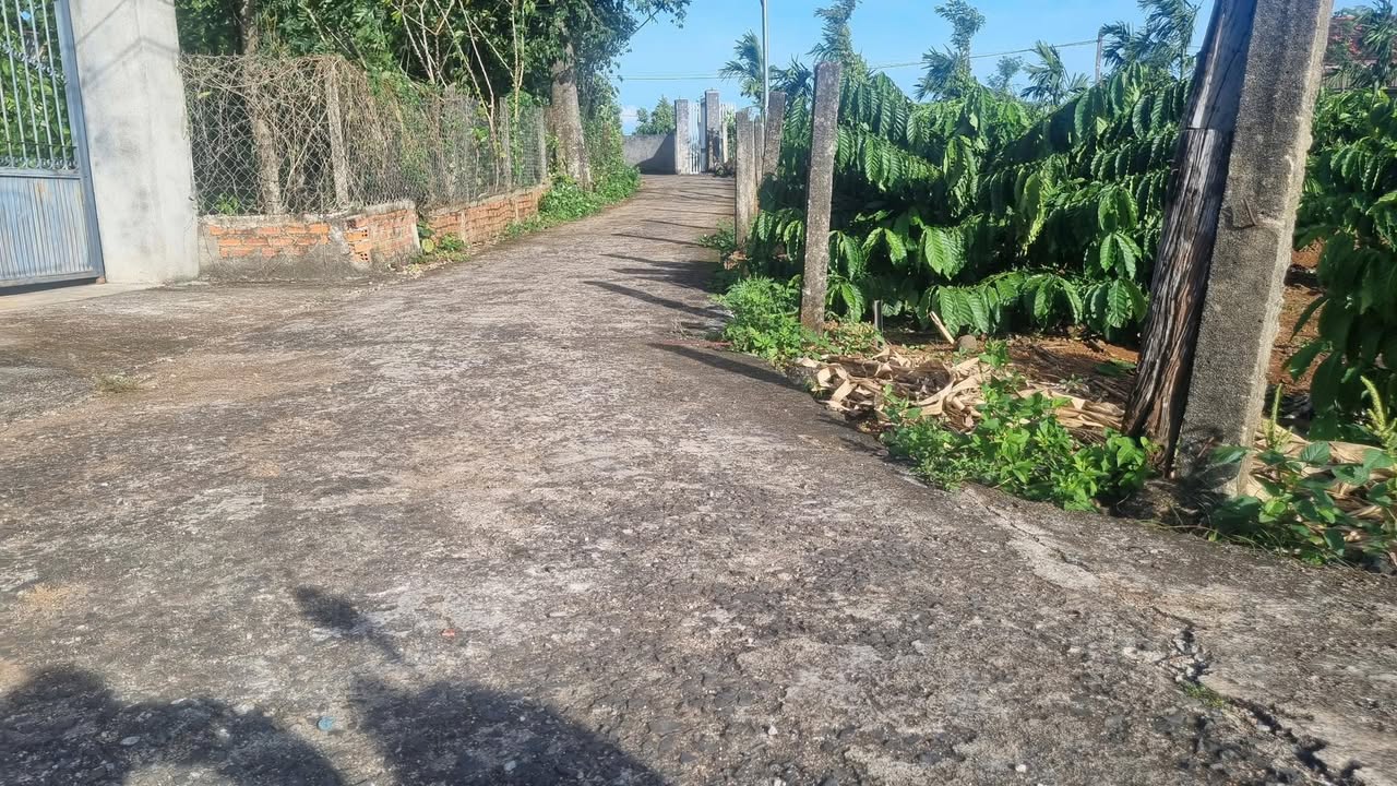 Đất nền chính chủ tại Ea Kao, Buôn Ma Thuột, 125m² chỉ 490 triệu - Cơ hội đầu tư tuyệt vời!