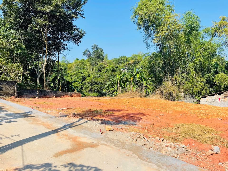 Đất nền Kim Phú Tuyên Quang 95m² giá 600 triệu - Đầu tư sinh lời cho tương lai!