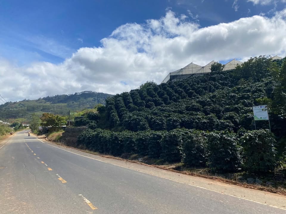 Đất mặt tiền Quốc lộ Dasar, xã Lạc Dương, Đà Lạt 9,401m² - Cơ hội đầu tư hấp dẫn!