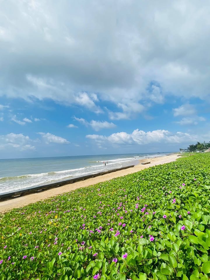 Đất nền Phan Thiết 92m² - Lô góc 2 mặt tiền, cách Tôn Đức Thắng chỉ 10m!