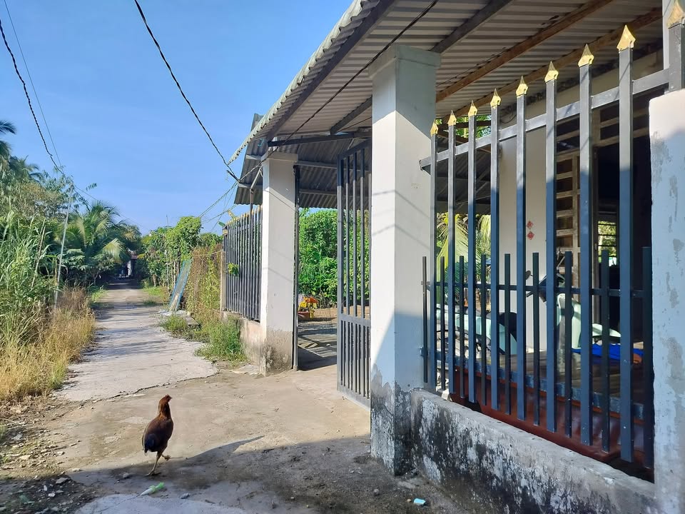 Nhà bán Phú Thứ, Cái Răng, Cần Thơ 70m² giá 350 triệu - Gần khu công nghiệp Taekwang!