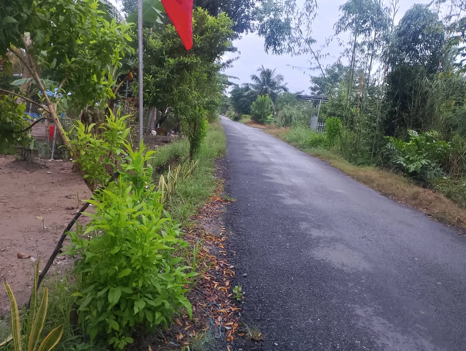 Đất nền nghỉ dưỡng Trường Long Vàm Bi 639m² giá 2.8 tỷ - Đầu tư sinh lời tuyệt vời!