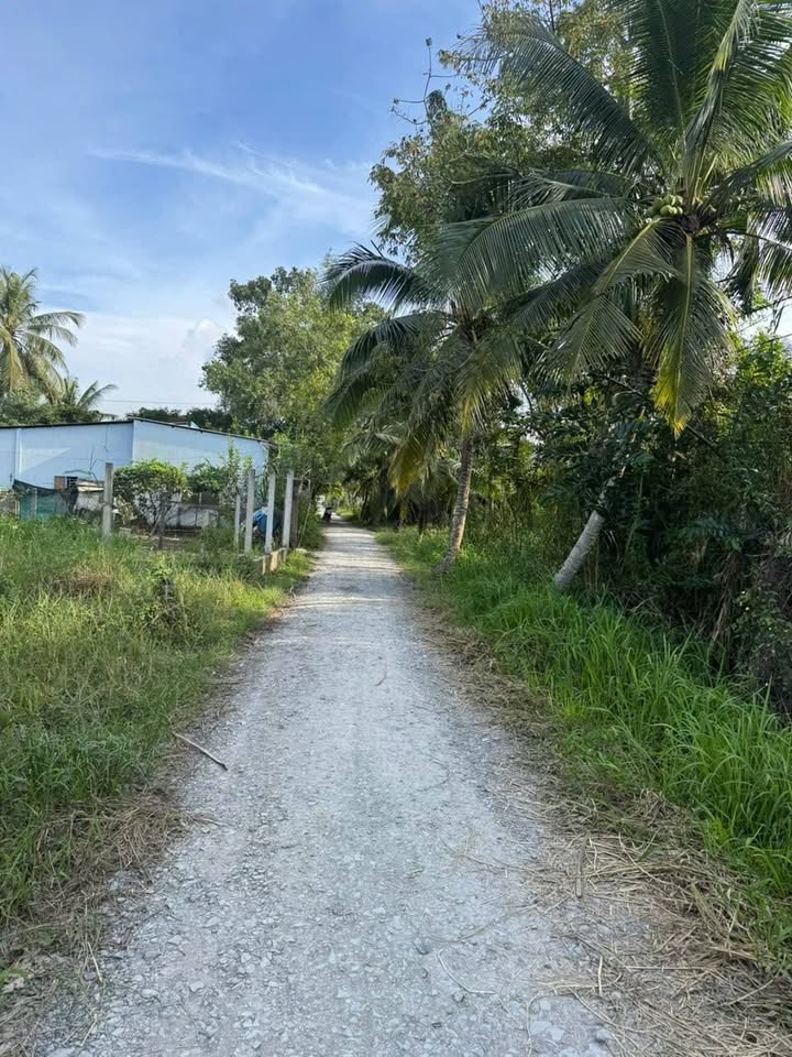 Đất nền Thới An Đông, Cần Thơ 500m² giá 1.5 tỷ - Đầu tư sinh lời ngay!