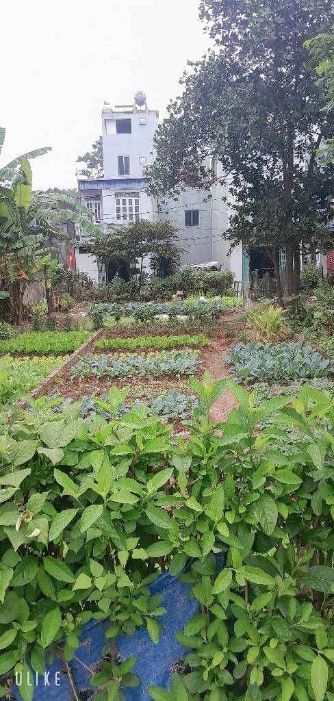 Đất nền Hương Đình Đoài, Sóc Sơn 60.8m² giá 3 tỷ - Sổ đỏ đẹp, tiện ích đầy đủ!