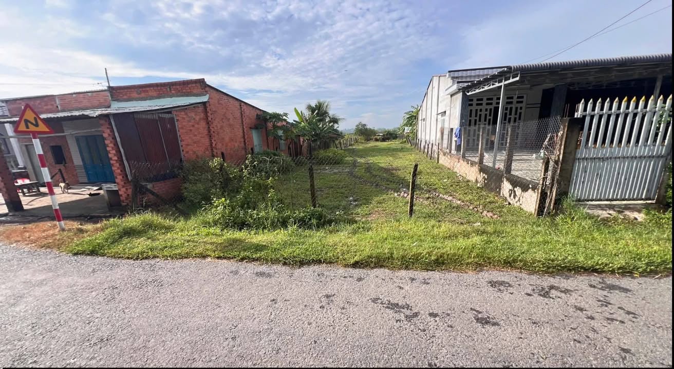 Đất nền Phước Thạnh, Gò Dầu 990m² giá 1.188 tỷ - Mặt tiền nhựa thông thoáng!