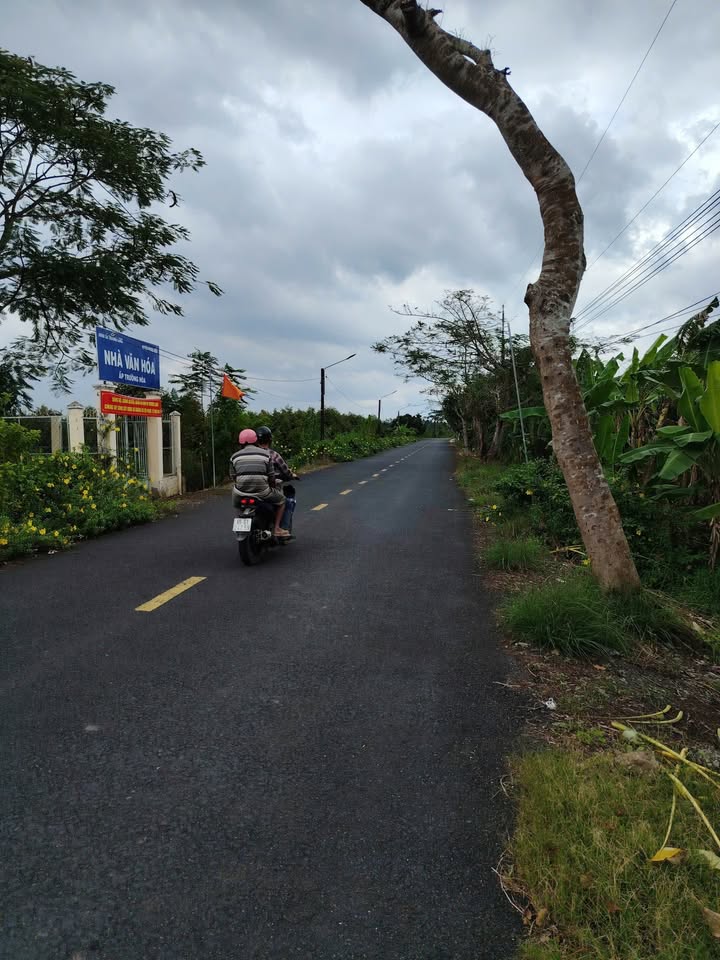 Đất mặt tiền 300m² tại Trường Long, Phong Điền, Cần Thơ - Giá chỉ 1.3 tỷ!