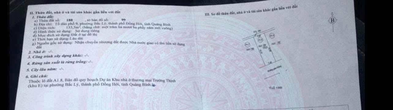 Đất nền dự án Trường Thịnh, Bắc Lý 133m² giá 1.9 tỷ - Cơ hội đầu tư hấp dẫn!