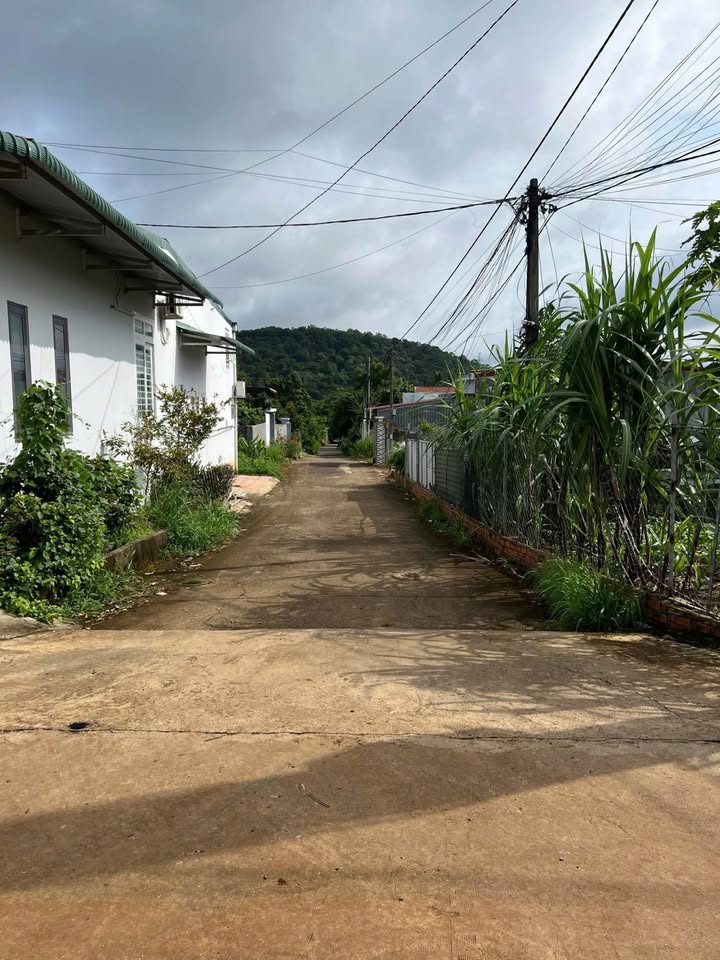 Đất hẻm Nguyễn Phúc Chu 100m² giá 1.2 tỷ - Đầu tư sinh lời hiệu quả!