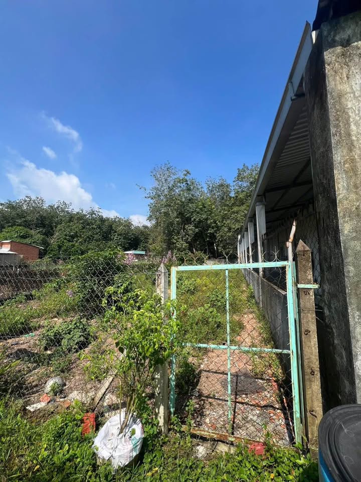 Đất nền An Tây Bến Cát 300m² giá 2.95 tỷ - Đường nhựa rộng, dân cư đông đúc!