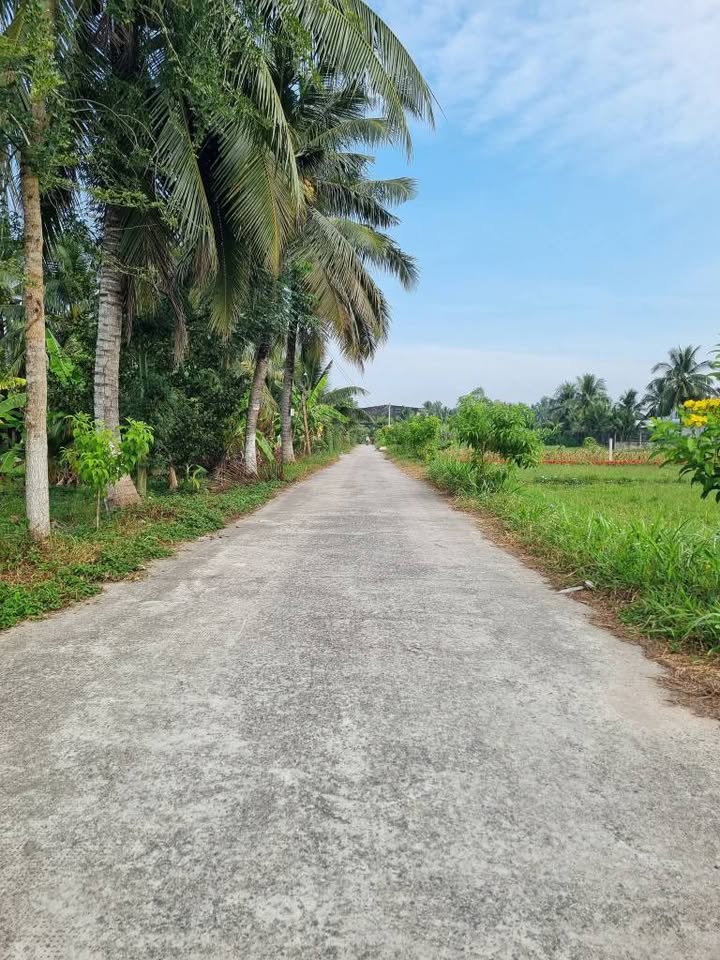 Đất nền Tam Phước 1000m² giá 3 tỷ - Đường thông, gần Rạch Miễu