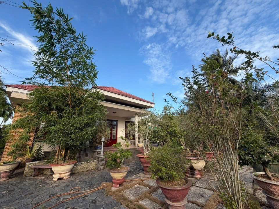 Biệt thự sân vườn Phường Sơn Đông, Bến Tre 2500m² - Giá 13 tỷ, thương lượng ngay!