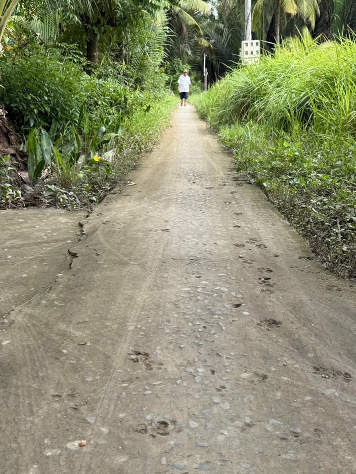 Đất ở Hữu Định, Châu Thành, Bến Tre 569m² giá 650 triệu - Đầu tư sinh lời cao!