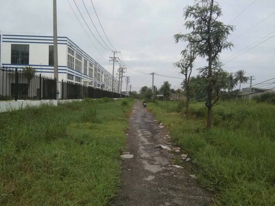 Đất KCN Phong Nẫm Giồng Trôm 2170m² giá 7 tỷ - Cơ hội đầu tư lý tưởng!