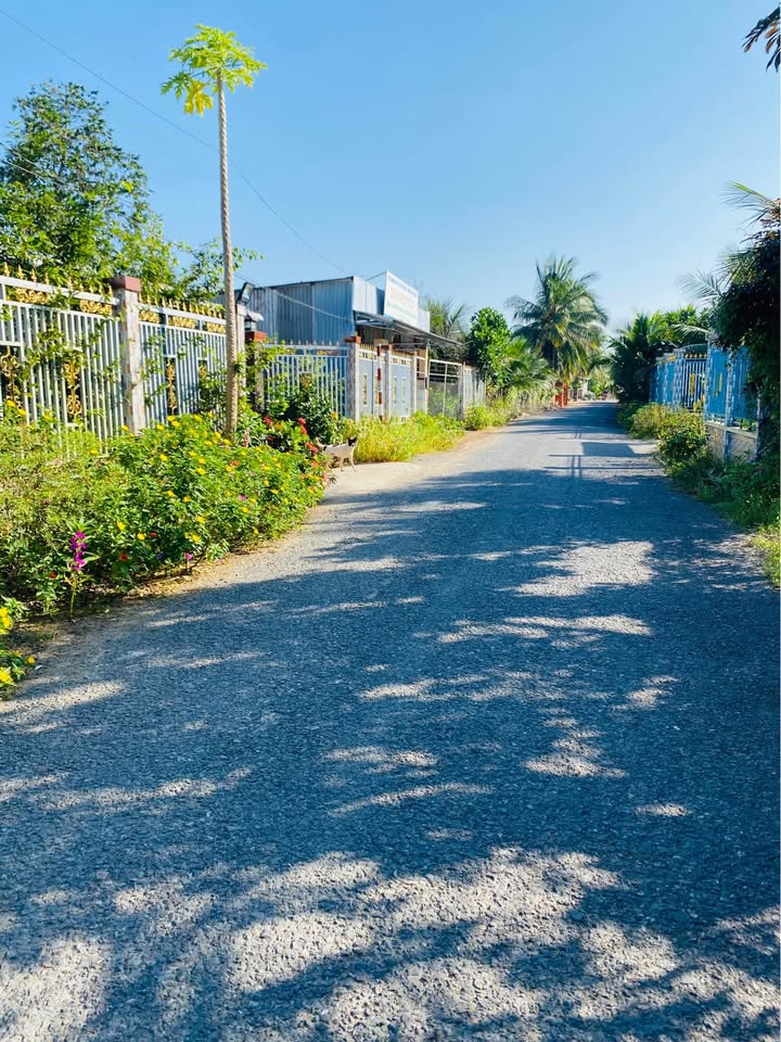 Đất nền Phú Túc Châu Thành 328m² giá 1.55 tỷ - Vị trí view sông tuyệt đẹp!