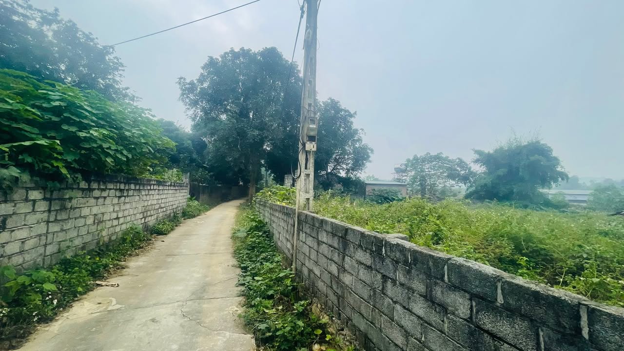 Đất nền đẹp tại Tân Vinh – Lương Sơn 1410m² - Giá thỏa thuận, sổ đỏ chính chủ!