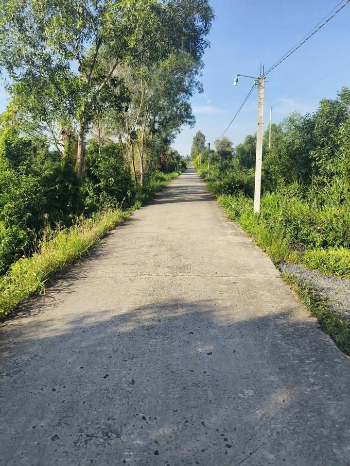 Đất nền ấp 8 Lương Hòa, Bến Lức - Diện tích 660m² giá chỉ 800 triệu