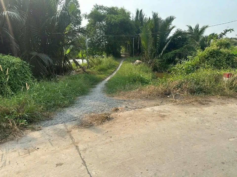 Đất lúa Tân Bửu, Bến Lức 3395m² giá 4.25 tỷ - Cơ hội đầu tư hấp dẫn!