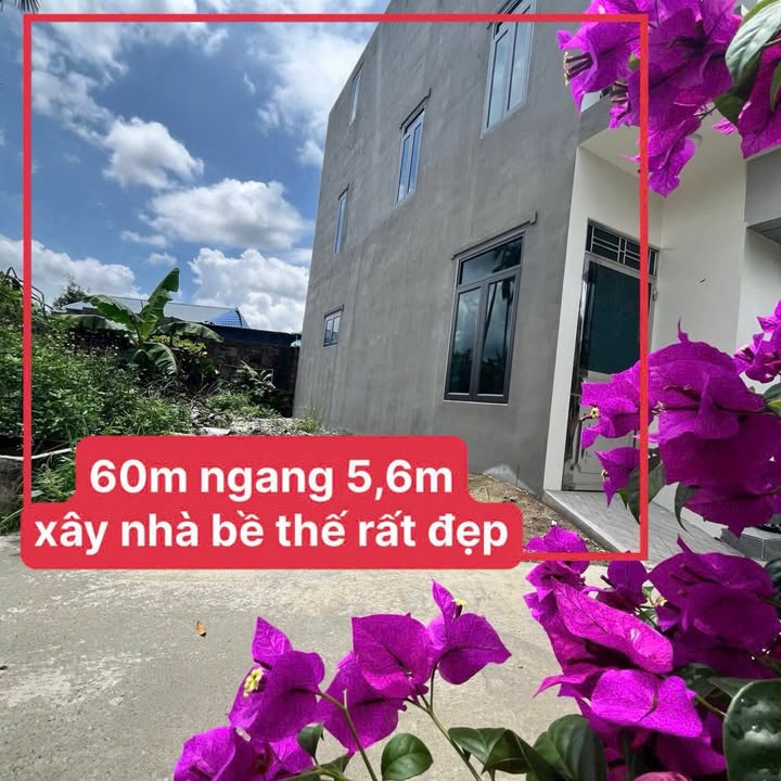 Đất nền Thiên Hương, Thủy Nguyên 60m² giá chỉ 140 triệu - Đầu tư sinh lời ngay!