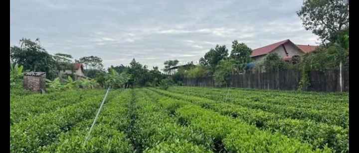 Lô đất Sông Cầu 422m² giá 1.05 tỷ - Đất đẹp, phong thủy tốt!