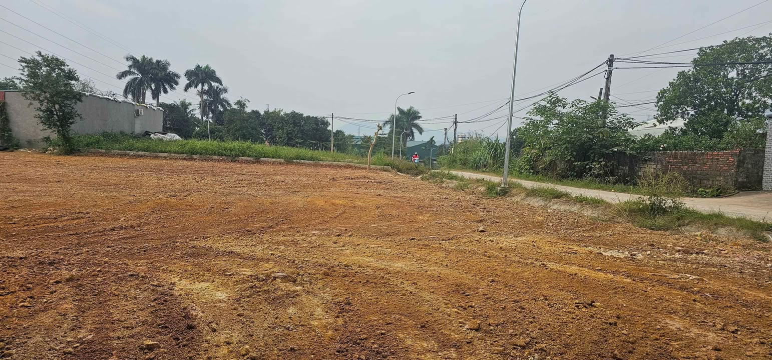 Đất nền 2000m² Hòa Sơn, Lương Sơn - Giá chỉ 7 tỷ, phù hợp phân lô hoặc làm kho xưởng!