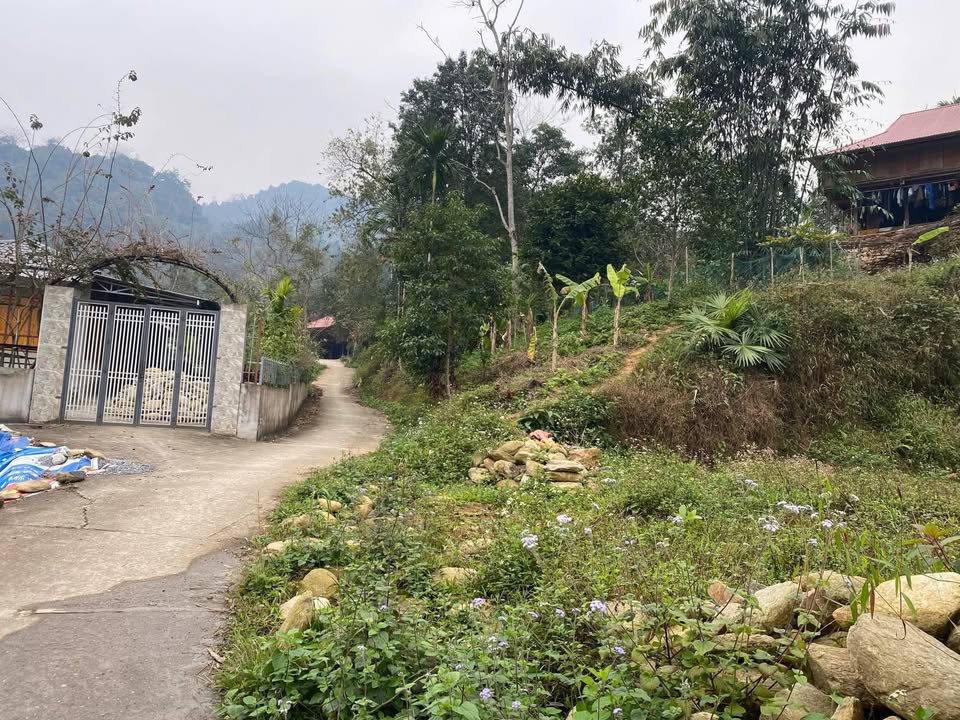 Đất thổ cư Thôn Châng, xã Phương Thiện 105m² giá 500 triệu - Sổ đỏ chính chủ